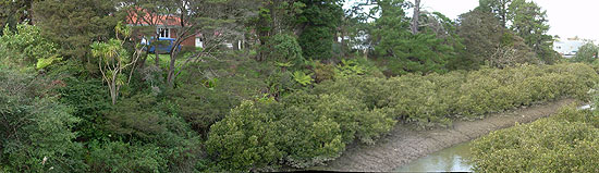 JOURNEY IN THE NORTHERN ISLAND OF NEW ZEALAND